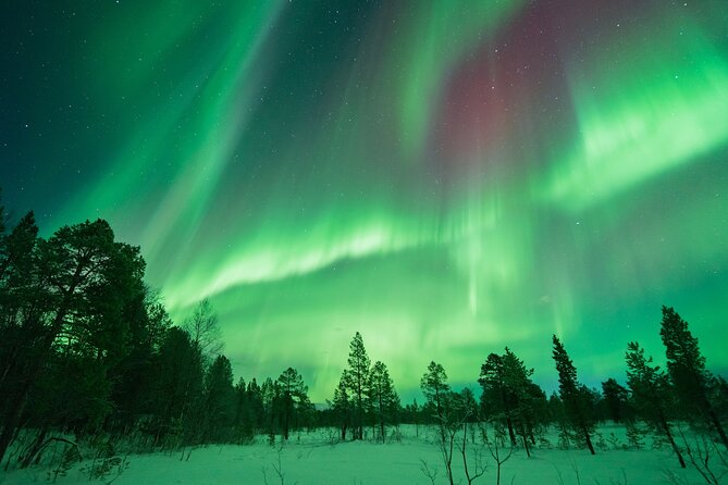 Northern Lights Hunt With the Green Adventure - Photos Included - Requirements and Restrictions