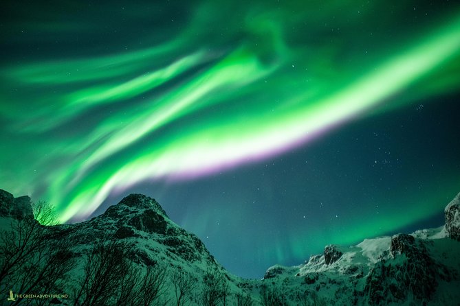 Northern Lights Hunt With the Green Adventure - Photos Included - Professional Photos Included