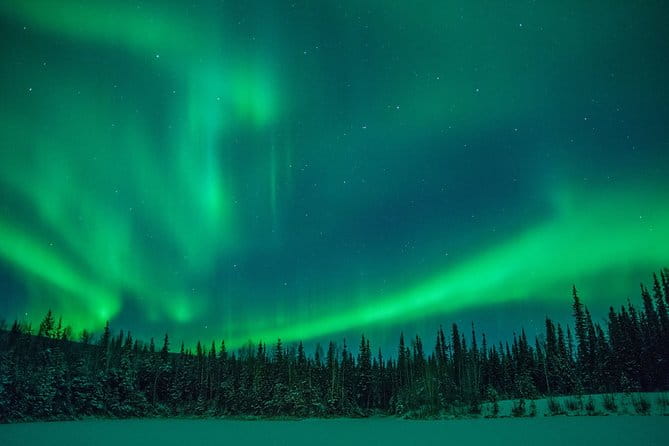 Northern Lights Hunting Tour Rovaniemi - Key points / Takeaways