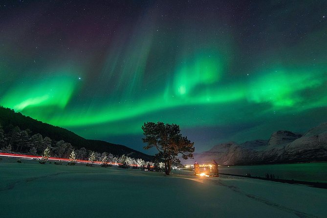 Northern Lights Minibus Chase From Tromso - Overview of the Tour