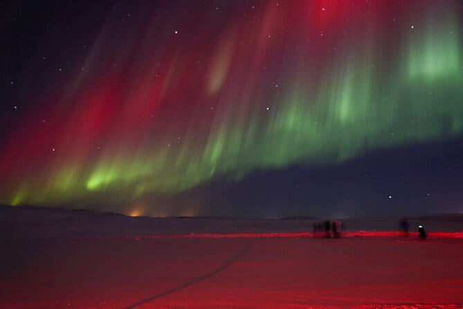 Northern Lights Private Tour from Reykjavik - Who Should Book This Tour?