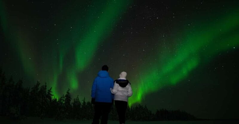 Northern Lights Reindeer Sledge Ride - Entering the Arctic Wonderland: What to Expect