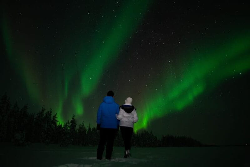 Northern Lights Reindeer Sledge Ride - The Authentic Reindeer Experience and Cultural Insights