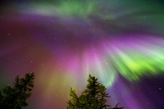 Northern lights Reindeer Sledge Ride - Entering the Arctic Night: A Step-by-Step Review