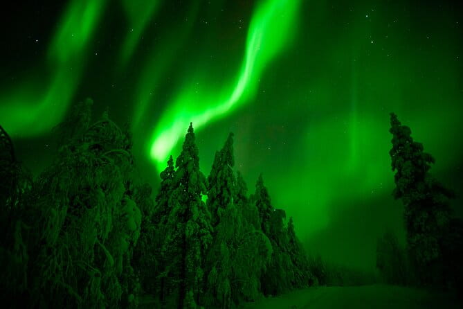 Northern Lights Snowmobile Tour - What to Expect During the Tour