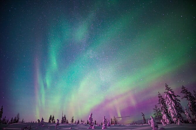 Northern Lights Snowmobile Tour - Who This Tour Is Best For