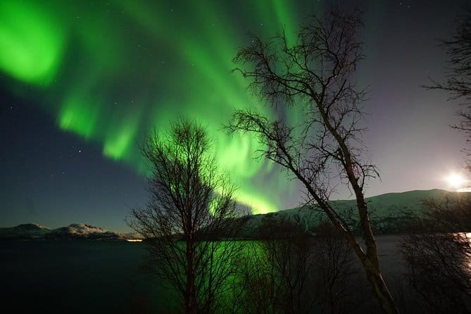 Northern lights - TeslaX Ecofriendly Car - FAQ