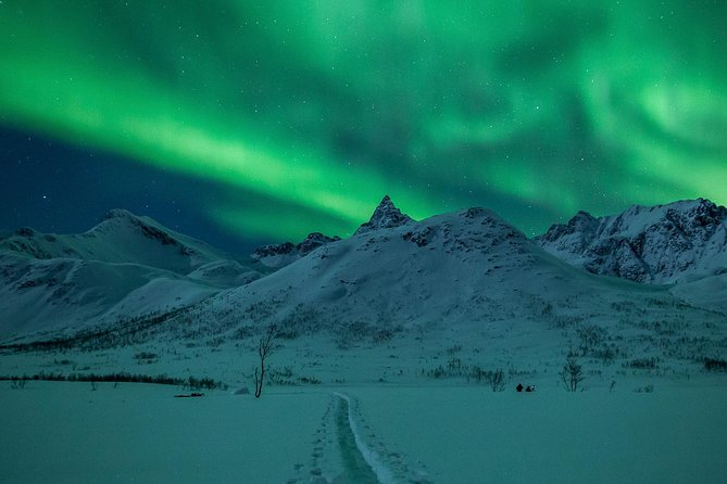 Northern Lights Tour From Tromsø - Meeting and Pickup