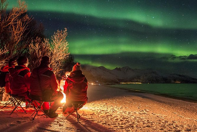 Northern Lights Tour From Tromsø - Tour Details