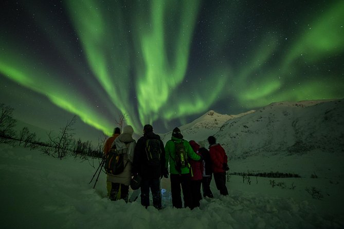 Northern Lights Tour From Tromsø - Cancellation Policy