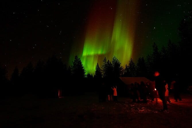 Northern Lights Trip to a Magical Place in Lapland - Price and Value: Does It Add Up?