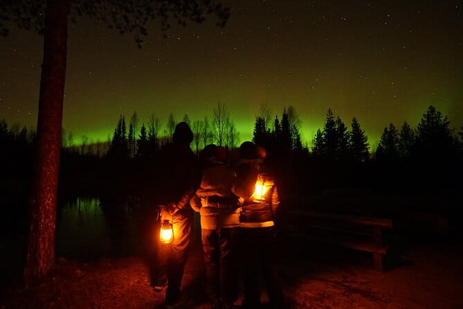 Northern Lights Trip to a Magical Place in Lapland - Who Will Love This Tour?