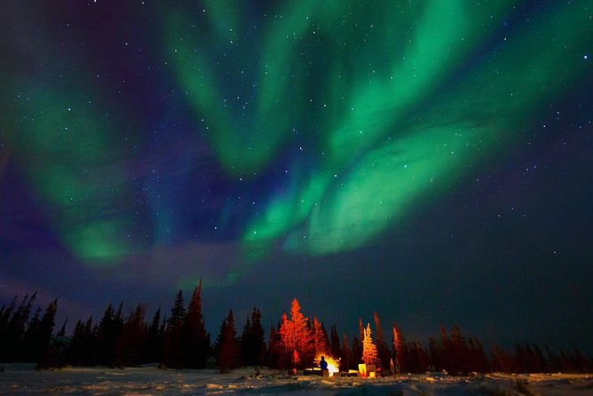 Northern Lights Winter Nights Adventure - Travel Insurance Coverage