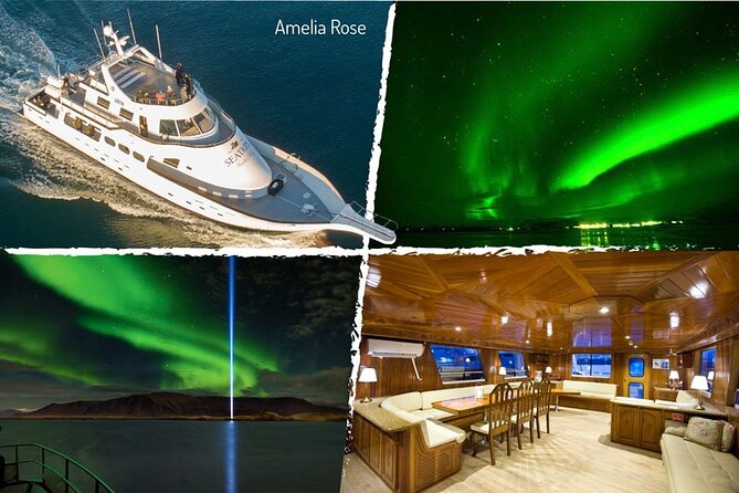 Northern Lights Yacht Cruise in Reykjavik - Reasons to Book the Cruise