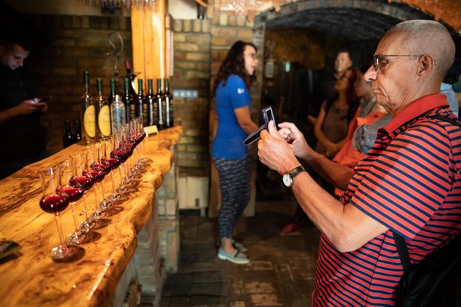 Northern Serbia: Sremski Karlovci and Novi Sad Full-Day Tour From Belgrade - Transportation and Logistics