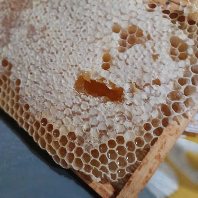 Northumberland: 6 Hour Meet the Makers Food Tour - Key Points / Takeaways