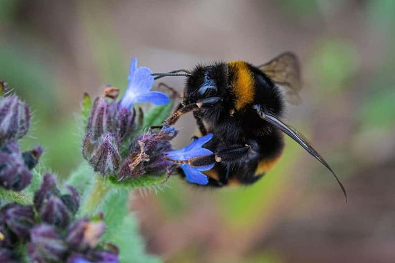 Northumberland: 6 Hour Meet the Makers Food Tour - An In-Depth Look at the Northumberland Food Tour