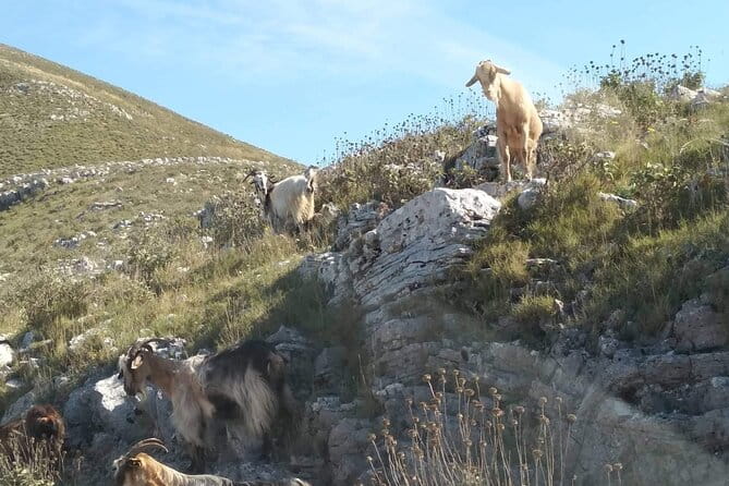 Northwest Corfu 4x4 Coastal Dreams & Village Charms Experience - Scenic Highlights and Off-the-Beaten-Path Villages