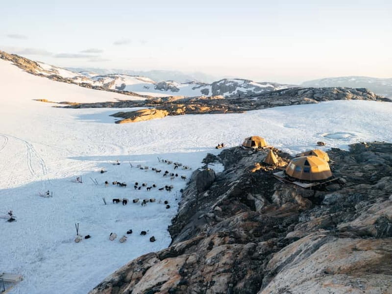 Norway: 2-Day Dogsledding Tour with Glacier Campsite - Exploring Norway’s Snowy Wilderness on a Dogsled