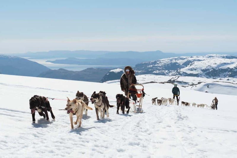Norway: Half Day Dog Sledding on the Folgefonna Glacier - Entering Norway’s Arctic Wonderland