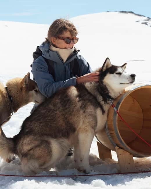 Norway: Husky Camp Visit on top of Folgefonna Glacier - Exploring the Folgefonna Glacier Husky Camp Experience