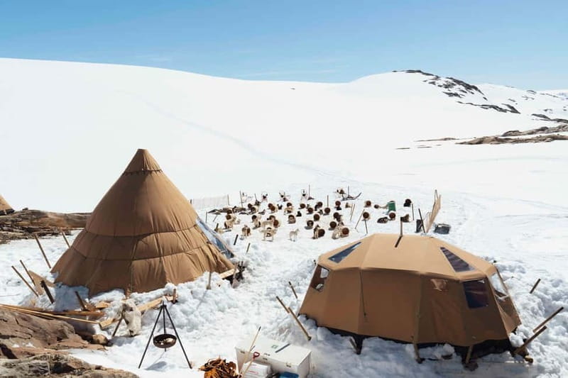 Norway: Husky Camp Visit on top of Folgefonna Glacier - The Sum Up: A Genuine Connection to Norwegian Sledding Culture