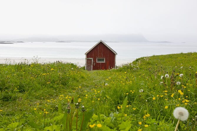 Norway Lofoten Private Shore Excursion from Leknes - Key Points / Takeaways