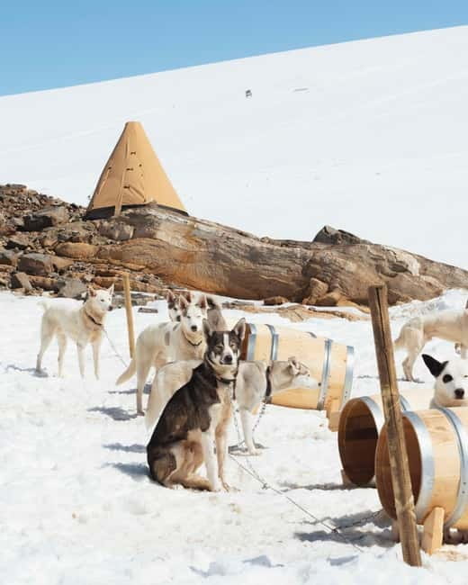 Norway: Overnight Stay at Glacier Campsite - Who is This Experience Best For?