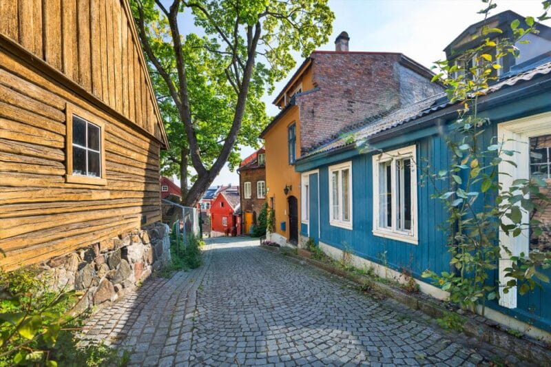 Norwegian Food Tour & Hidden Gems of Oslo - Who Will Love This Tour?