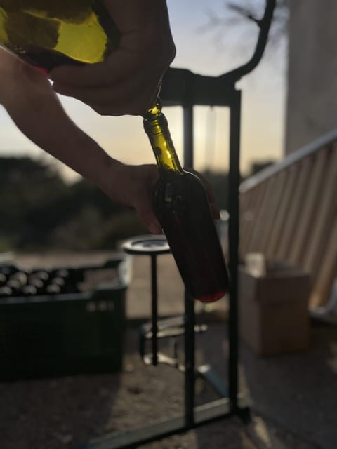 Noto: Farm to Fork in Sicily - Cooking Class in a Farm - A Taste of Sicily: Farming, Cooking, and Culture in Noto