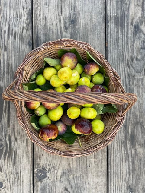 Noto: Farm to Fork in Sicily - Cooking Class in a Farm - The Sum Up: A Rich Slice of Sicilian Life