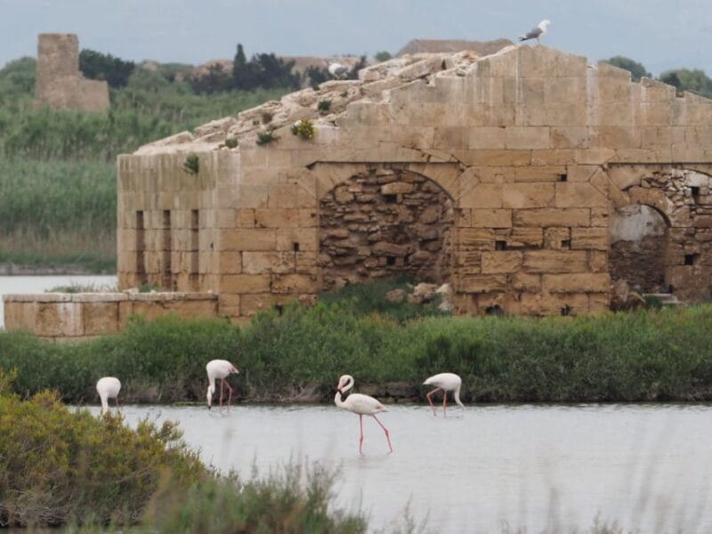 Noto: Guided trekking and birdwatching at Vendicari Reserve - A Deep Dive into the Experience