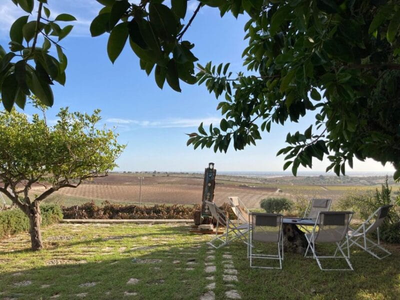 Noto: Wine Tasting and Estate Tour with Local Products - A Closer Look at the Experience in Noto