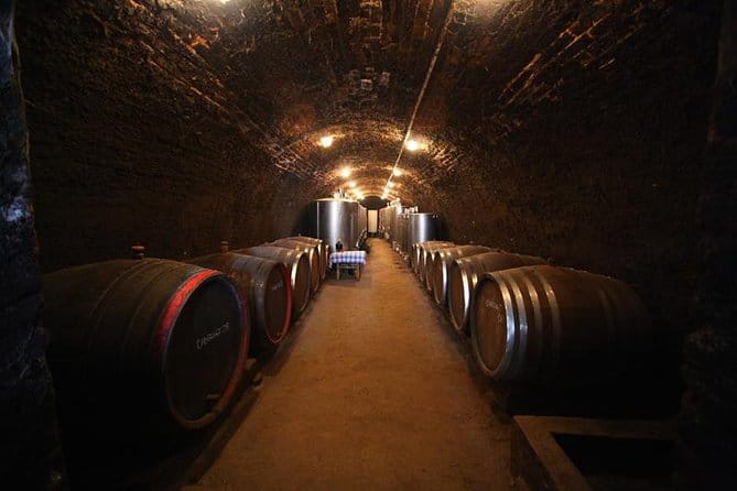 Novi Sad and Sremski Karlovci private tour with wine tasting - A Deep Dive into the Tour Experience