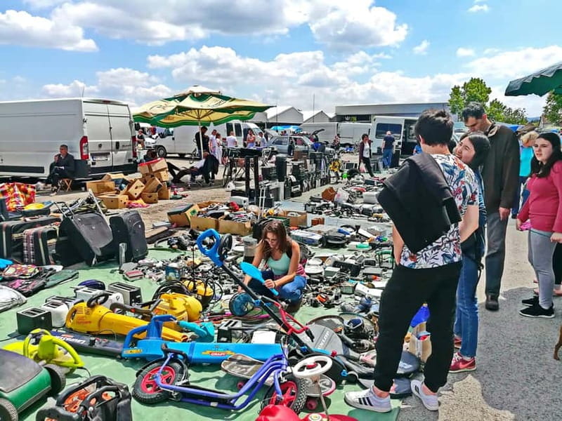 Novi Sad: Full-Day Private Tour with Wine Tastings - Key Points / Takeaways