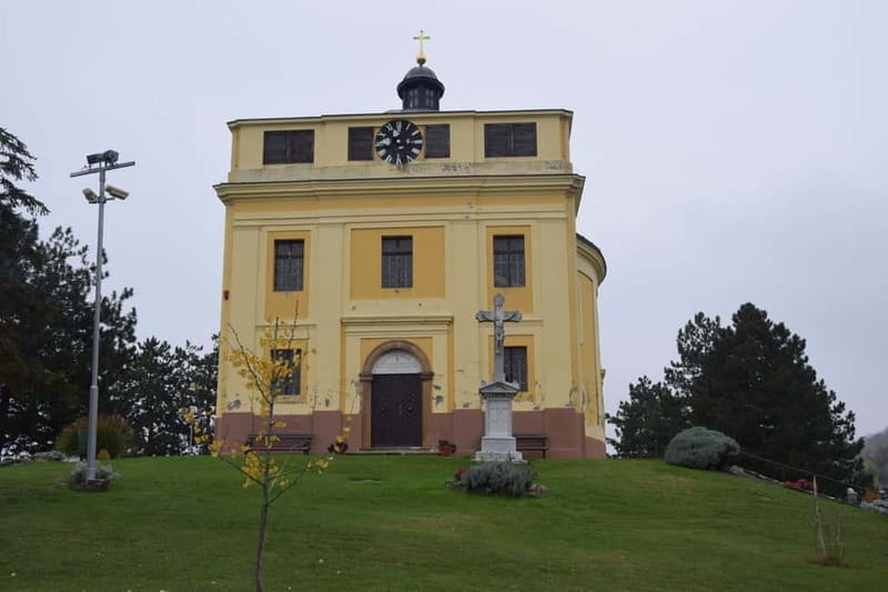 Novi Sad Private Walking Tour - Key Points / Takeaways