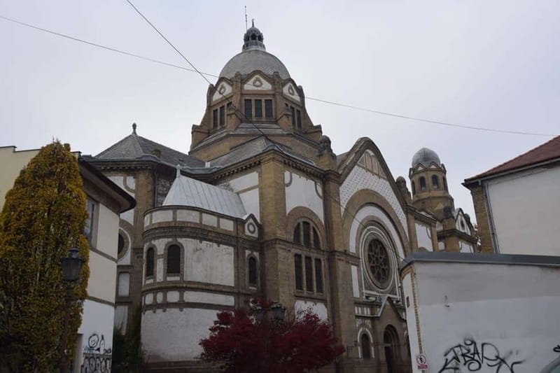 Novi Sad Private Walking Tour - Who Will Love This Tour?