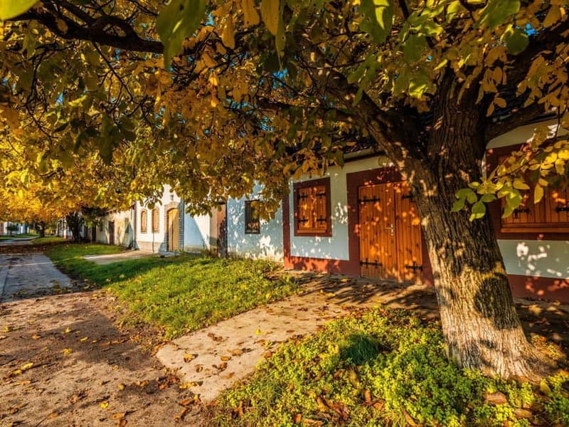 Novi Sad & Sremski Karlovci shared tour - FAQ