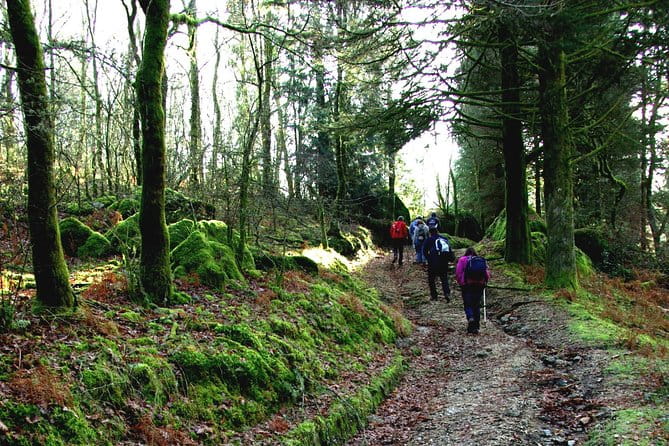 Nozzle Horn Protected Landscape Area - Exploring the Horn of Bico Protected Landscape Area: A Day of Nature and Authentic Flavors
