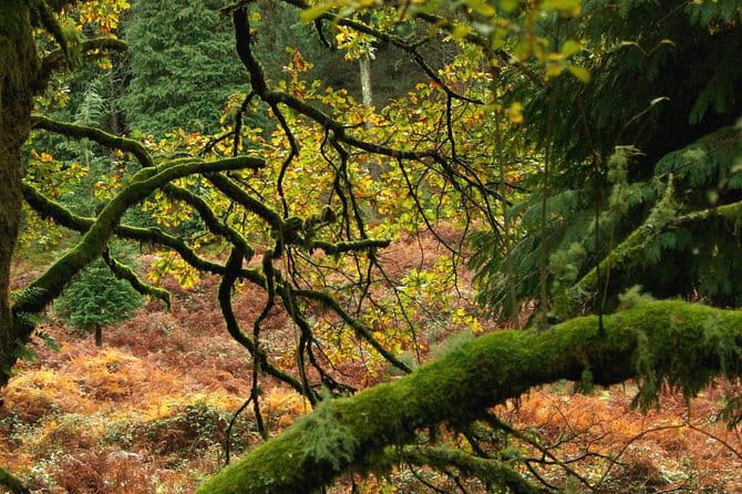 Nozzle Horn Protected Landscape Area - Summary: Is This Tour Worth It?