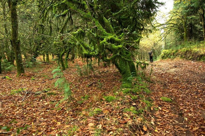 Nozzle Horn Protected Landscape Area - FAQs