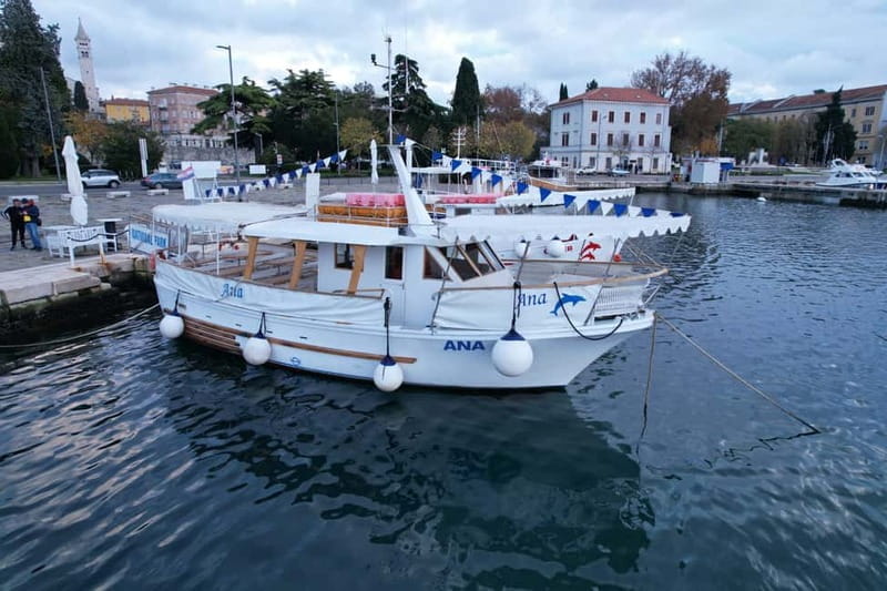 NP Brijuni Island Swimming & Dolphin Watching Sunset Cruise - Key points / Takeaways