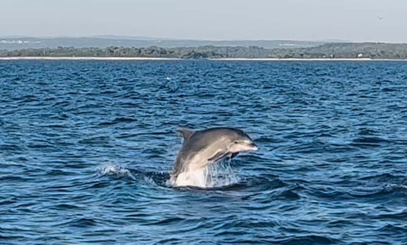 NP Brijuni Island Swimming & Dolphin Watching Sunset Cruise - Frequently Asked Questions