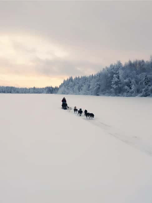 Nulkki Husky Adventure - Final Thoughts: Is This the Right Experience for You?