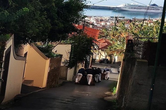 Nuns Valley/Monte with sledge ride. - Discovering Madeira’s Hidden Treasures: A Deep Dive into the Nuns Valley and Monte Tour