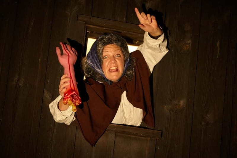 Nuremberg: Theater Tour "Of nightwatchmen, executioners, and nymphs" - Nuremberg: Theater Tour "Of nightwatchmen, executioners, and nymphs" — An Entertaining History Walk