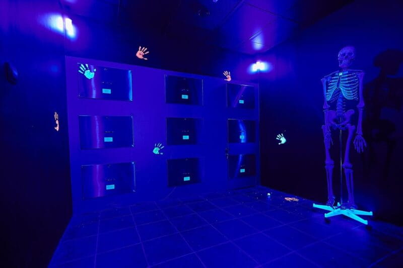 Nürnberg: Secret Surgery Escape Room Game - Who Is This Experience Perfect For?