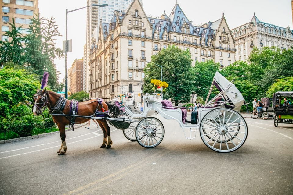 NYC: Guided Central Park Horse Carriage Ride - Frequently Asked Questions