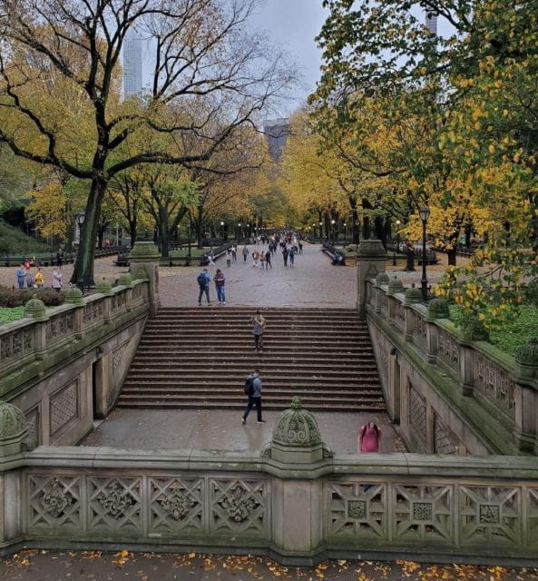NYC: Guided Elite Pedicab Tour in Central Park - Inclusions