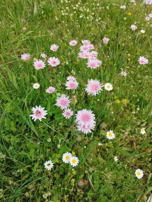 Nydri: Discover Local Culture, History & Beauty Guided Hike - Price and Value